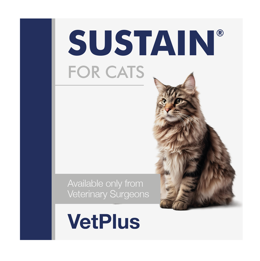 VetPlus Sustain dla Kotów 30 sasz - funkcjonowanie układu pokarmowego